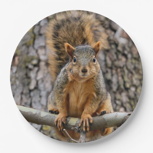 キツネフェイクリス ペーパープレート (正面)