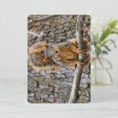 キツネフェイクリス 招待状 (スタンド正面)