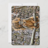 キツネフェイクリス 招待状 (正面)