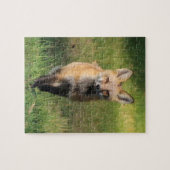 キツネフレンドパズル ジグソーパズル (横)