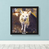 キツネプリント – マクス キャンバスプリント (インサイチュ (ウッドフロア))