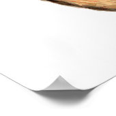 キツネポスター ポスター (角)