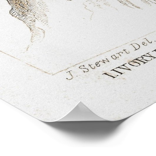 キツネムシ ポスター (角)