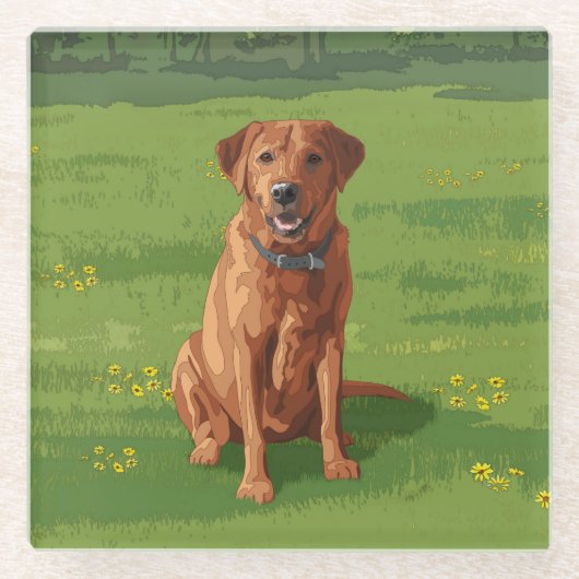 キツネレッドイエローラブラドールレトリーバードッグ ガラスコースター (正面)