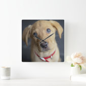 キツネレッドラブラドールパピー スクエア壁時計 (ホーム)