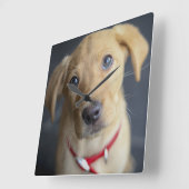 キツネレッドラブラドールパピー スクエア壁時計 (傾斜)
