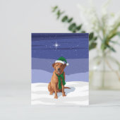 キツネレッドラブラドールリトリエバークリスマスドッグ (スタンド正面)