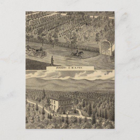 キツネ子供部屋，アーズ，果樹園 ポストカード (正面)