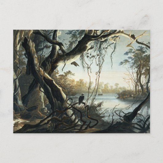 キツネ川河口，インディアナ，プレート5 ポストカード (正面)