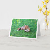 キツネ敷設 カード (黄色い花)