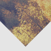 キツネ林ティッシュペーパー 薄葉紙 (詳細)