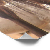 キツネ狩り ポスター (角)