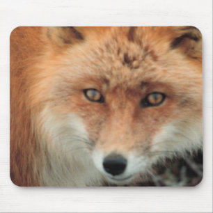 キツネ種のマウスパッド マウスパッド