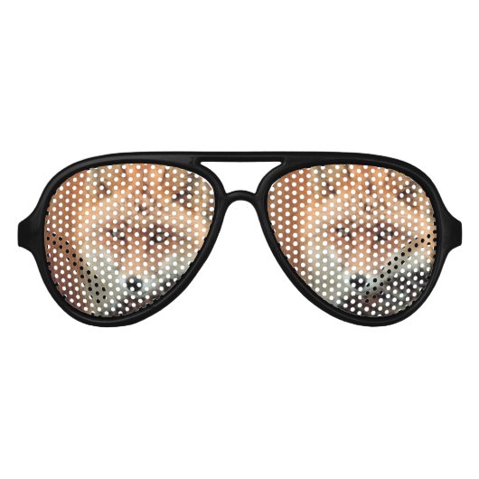 キツネ種 アビエーターサングラス (正面)