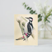 キツネ素晴らしの斑点 ポストカード (スタンド正面)