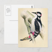 キツネ素晴らしの斑点 ポストカード (正面/裏面)