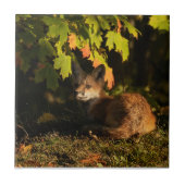 キツネ葉とシャドウ タイル (正面)