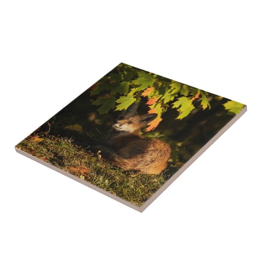 キツネ葉とシャドウ タイル (側面)