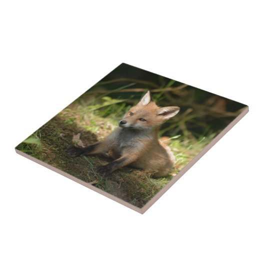 キツネ野生動物 タイル (側面)