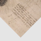 キツネ野生生物レトロスケッチ 薄葉紙 (詳細)