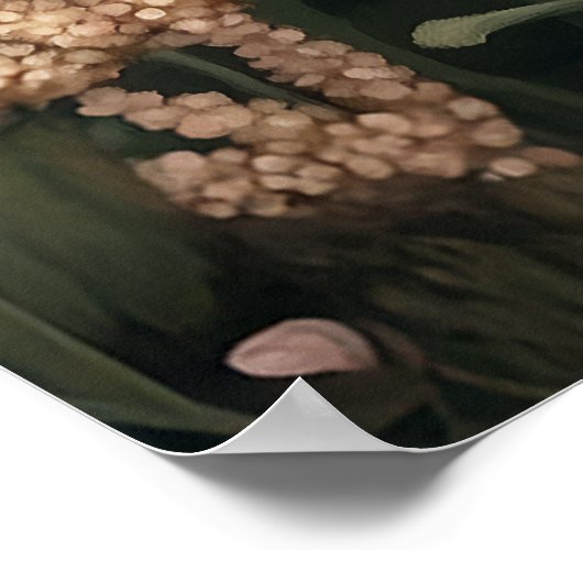 キツネ間春開花 ポスター (角)