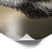 キツネ顔スケッチ フォトプリント            (角)