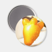 キツネ顔フルーツ(Solanum mammosum) マグネット (正面/裏面)