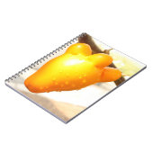 キツネ顔果実 ノートブック (左側)