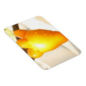 キツネ顔果実 マグネット (右側)