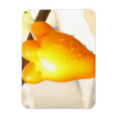 キツネ顔果実 マグネット (縦)