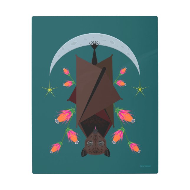 キツネ飛んでいるティール（緑がかった色）16x20金属プリント メタルプリント (正面)