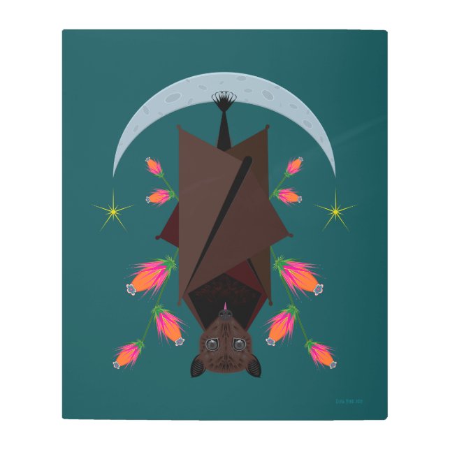 キツネ飛んでいるティール（緑がかった色）20x24金属プリント メタルプリント (正面)