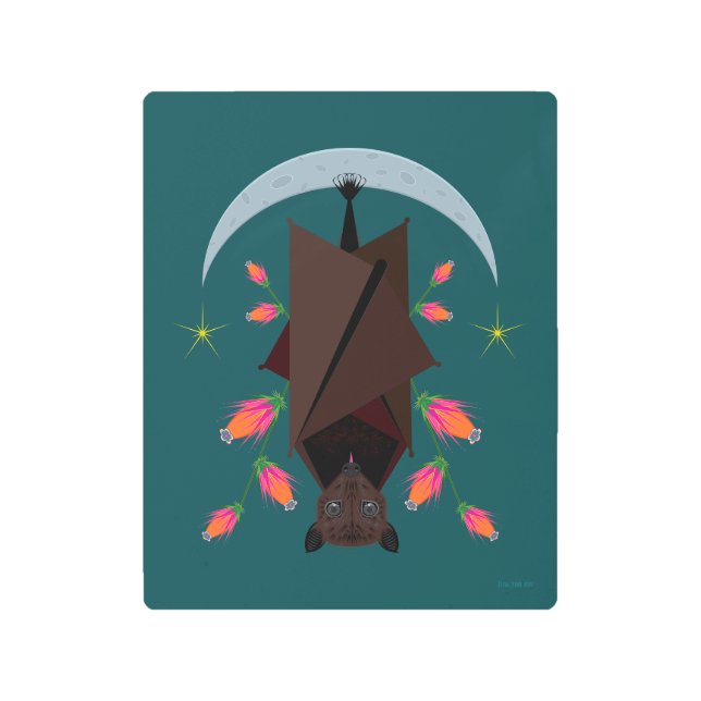 キツネ飛んでいるティール（緑がかった色）8x10金属プリント メタルプリント (正面)