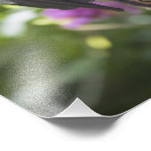 キツネ飛んでいるフルーツこうもりとクレープマートルフォトプリント フォトプリント (角)