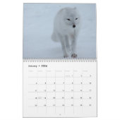 キツネ2016カレンダー カレンダー (1月 2026)