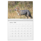 キツネ2021 by Chris Milligan カレンダー (1月 2027)