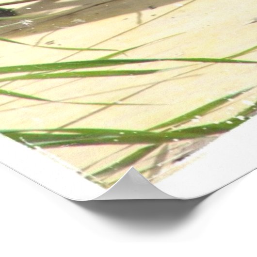 キツネ2 ポスター (角)