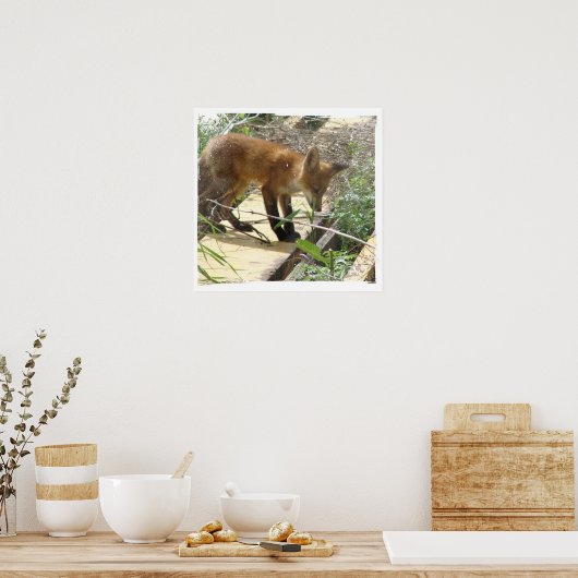 キツネ2 ポスター (キッチン)