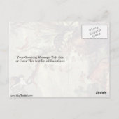 キツネ&キャットバイキャットバイフランスナイダー ポストカード (裏面)