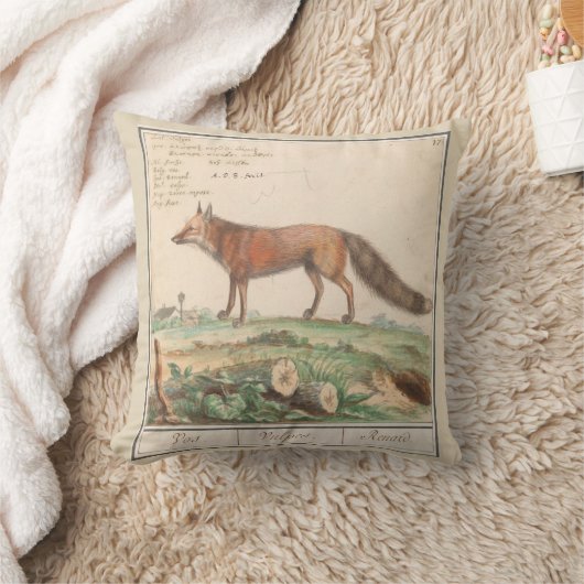 キツネ クッション (ブランケット)