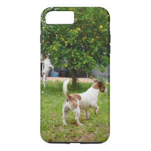 キツネ_テリア_遊び時間,タフiPhone 7プラスケース iPhone 8 Plus/7 Plusケース