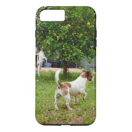 キツネ_テリア_遊び時間,タフiPhone 7プラスケース Case-Mate iPhoneケース (裏面)