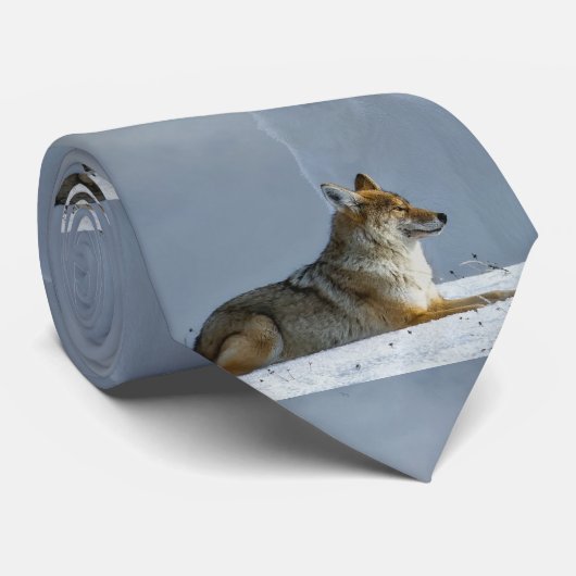 キツネ ネクタイ (ロール)