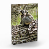 キツネ フォトブロック (左)