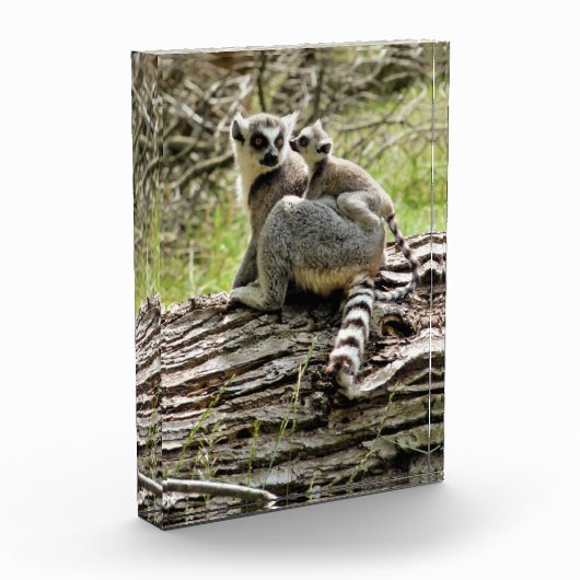 キツネ フォトブロック (左)