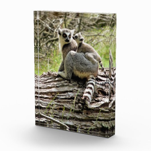 キツネ フォトブロック (右)