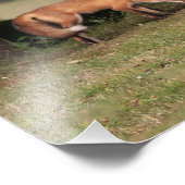 キツネ フォトプリント            (角)