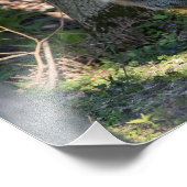 キツネ フォトプリント            (角)