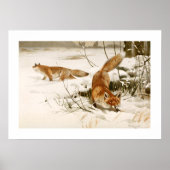 キツネ ポスター (正面)