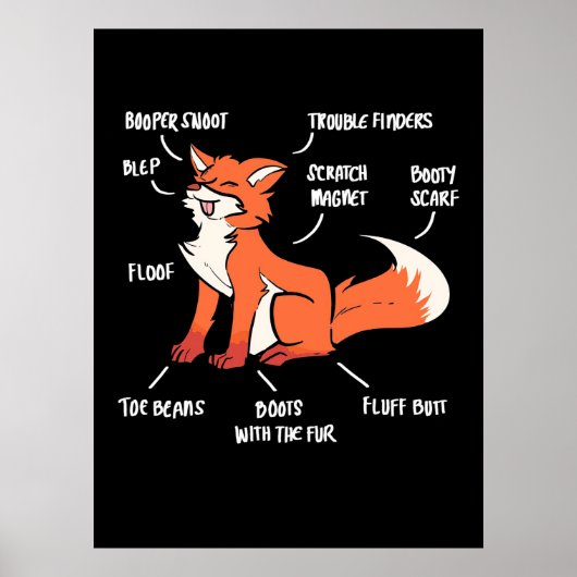 キツネ ポスター (正面)